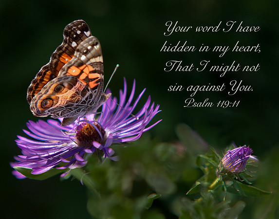 Psalm119v11 20140911-IMG_8615 s1114
