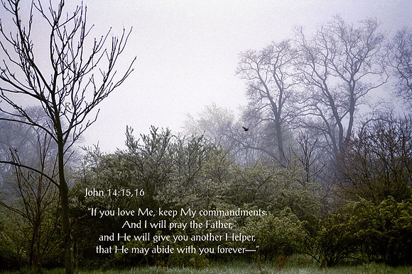 John14v15 0020730-john14v15base
