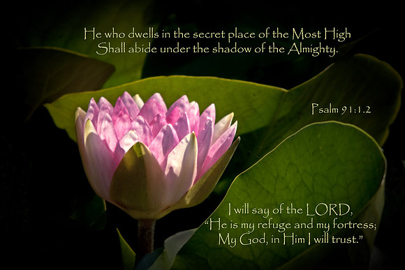 Psalm91v1 FLWL003-001
