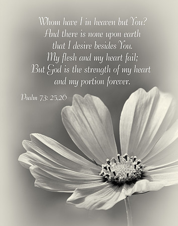 Psalm73v25 20140910-MG_8494-2 s1114