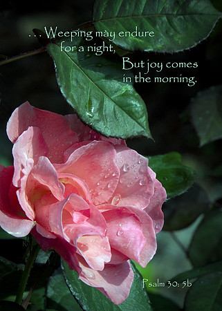 Psalm30v5b FLRS002 s57