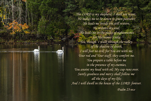 Psalm23 20211030-_MG_7115