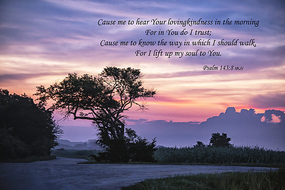 Psalm143v8 20220728-_MG_8285