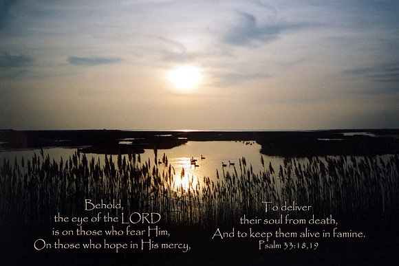 Psalm33v18 VSLNFS011