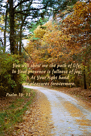Psalm16v11 VSLNPH001