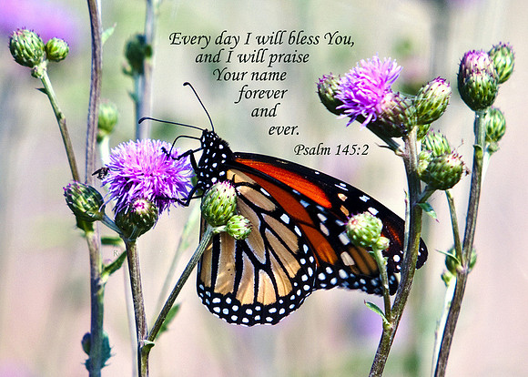 Psalm145v2 WLBTMN001 s57