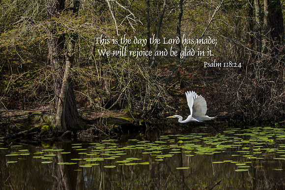 Psalm118v24 20130510-IMG_2237