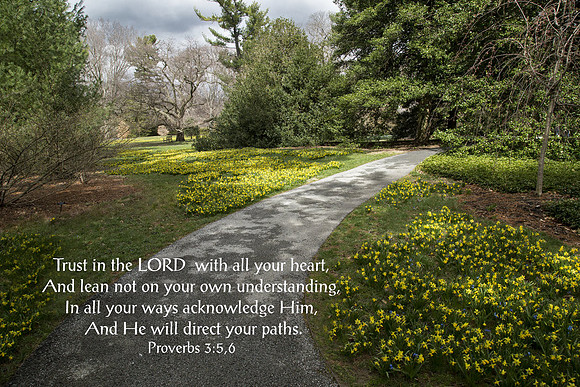 Proverbs3v5 20170401-IMG_0239