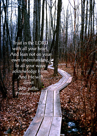 Proverbs3v5 VSLNPH003 s57