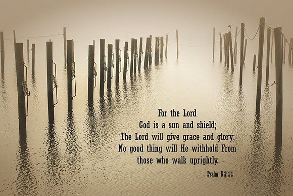 Psalm84v11 20160317-IMG_0018