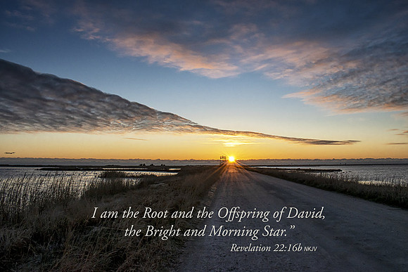 Revelation22v16 20201217-_DSC0031