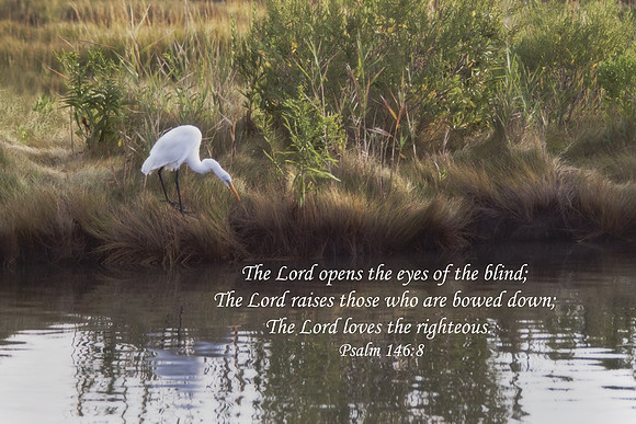 Psalm146v8 20100914-WLBDER001