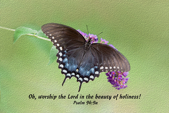 Psalm96v9a 20160804-IMG_6352 Oil
