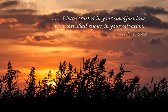 Psalm13v5 20150925-IMG_3620