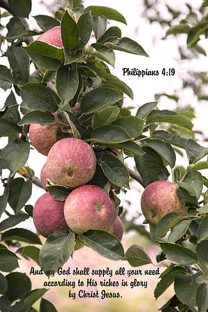 Philippians4v19 20170926-IMG_1372