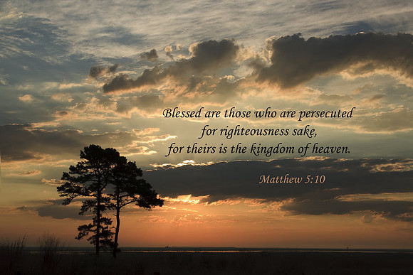 Matt5v10 VSLNFS016