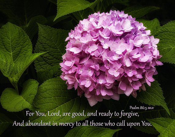 Psalm86v5 20150706-IMG_3094 s1114