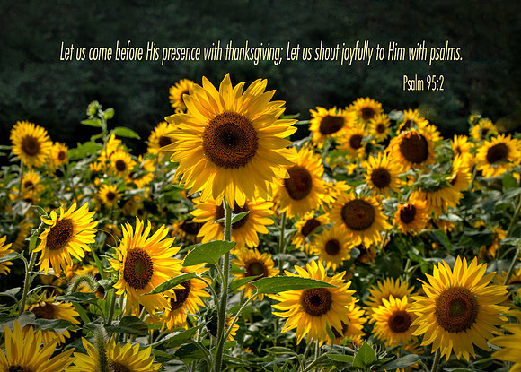 Psalm95v2 20140905-IMG_8405