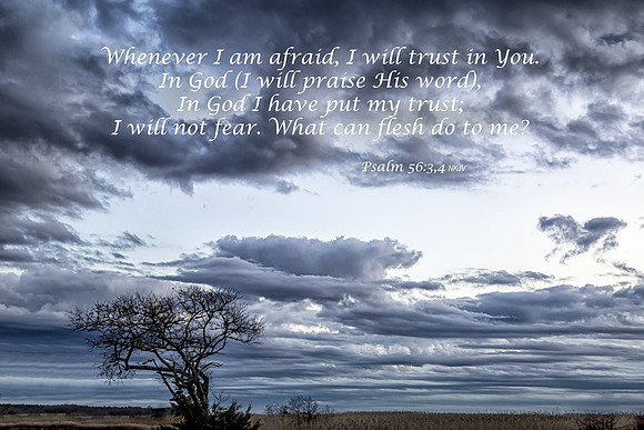 Psalm56v3 20201201-_MG_3599